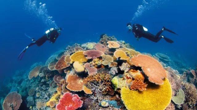 广州地铁二号线嘉禾望岗往广州南站方向提前30分钟开始运营